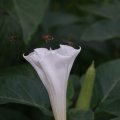 dsc03693