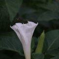 dsc03697
