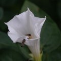 dsc03701