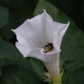 dsc03703