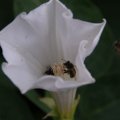 dsc03711