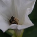 dsc03718