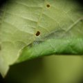 dsc03961
