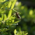 dsc04029