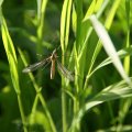 dsc04191