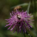 dsc04323