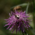 dsc04324