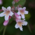 dsc04855