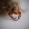 dsc05800