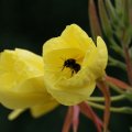 dsc06500