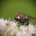 dsc07195