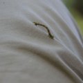 dsc07571