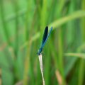 p1030044
