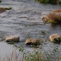 dsc00788