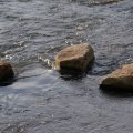 dsc00793