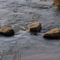 dsc00794