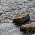 dsc00797