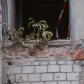dsc00843