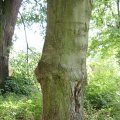 dsc06616