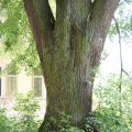 dsc06617