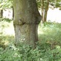 dsc06628
