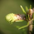 dsc07667