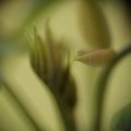 dsc07679