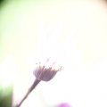 dsc07695