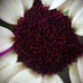 dsc07697