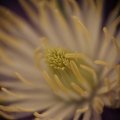 dsc07701