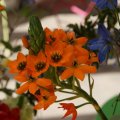 dsc07716
