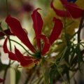 dsc07717