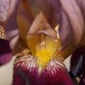 dsc08310