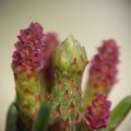 dsc08329
