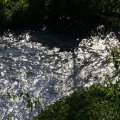 dsc08335