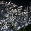 dsc08336