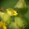 dsc08390
