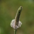 dsc08397
