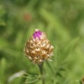 dsc08407