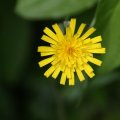 dsc08437