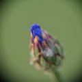 dsc08456