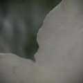 dsc08562