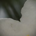 dsc08563