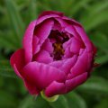 dsc08591
