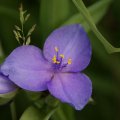 dsc08596