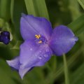 dsc08597