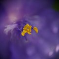 dsc08603