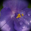 dsc08606