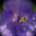 dsc08607