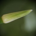 dsc08627